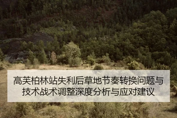 gao-fu-bo-lin-zhan-shi-li-hou-cao-di-jie-zou-zhuan-huan-wen-ti-yu-ji-shu-zhan-shu-tiao-zheng-shen-du-fen-xi-yu-ying-dui-2-309.jpg